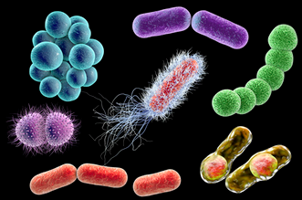 檢測(cè)細(xì)菌微生物的儀器都有哪些？