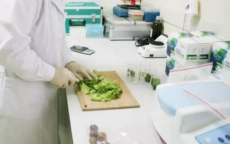 食品重金屬檢測儀，關(guān)注食品安全，防范重金屬危害